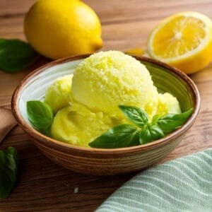 Image d'un sorbet citron basilic novascope