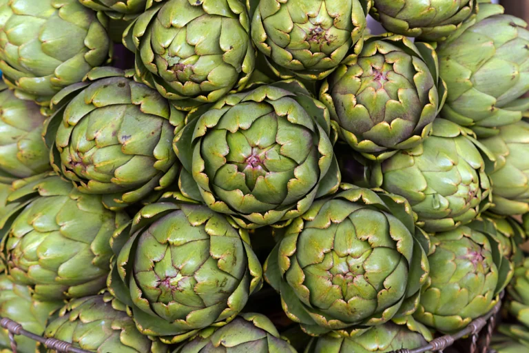 Image d'artichauts pour mettre en avant la cuisson à la cocotte-minute réussie