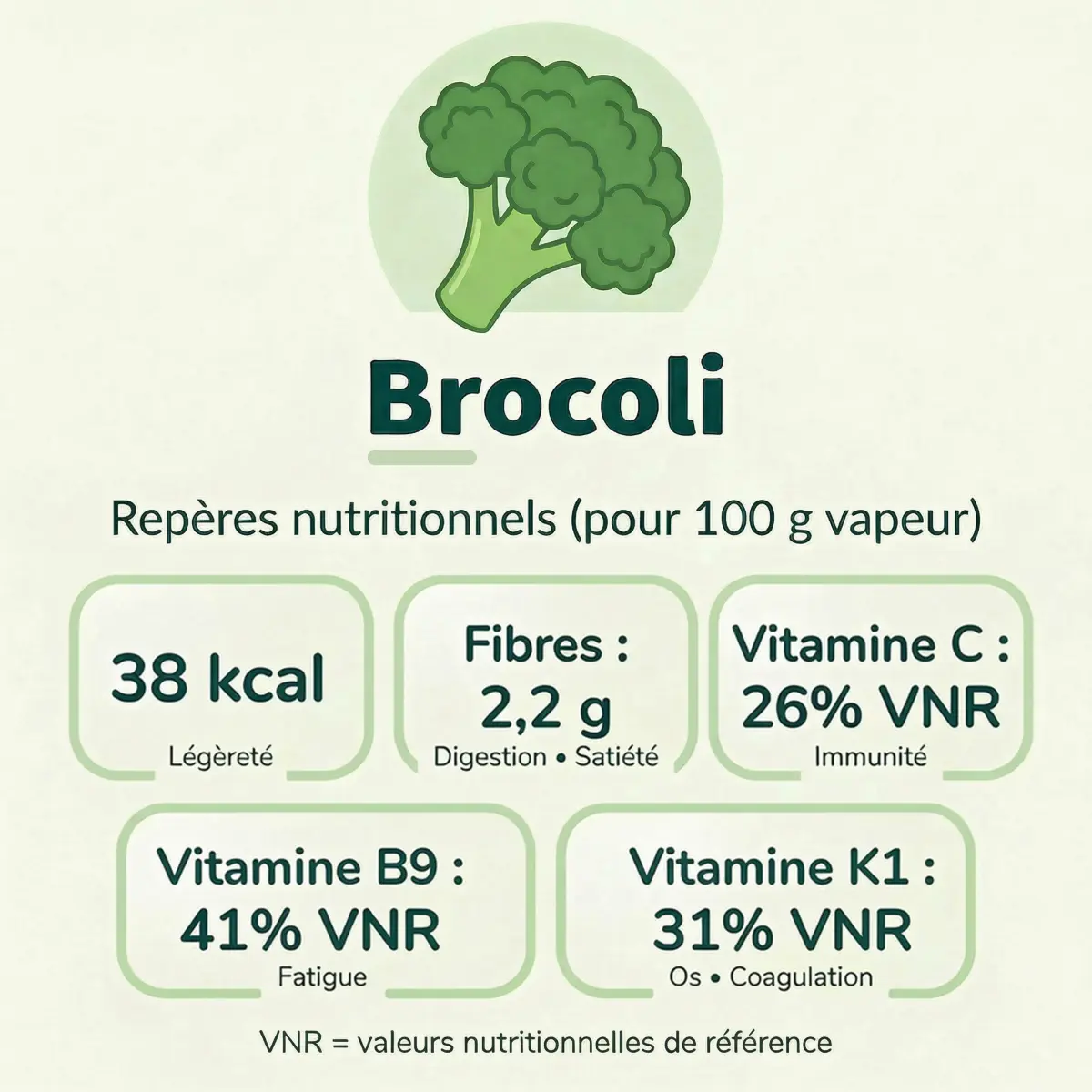 Infographie des bienfaits et repères nutritionnels du brocoli pour 100 g cuits à la vapeur