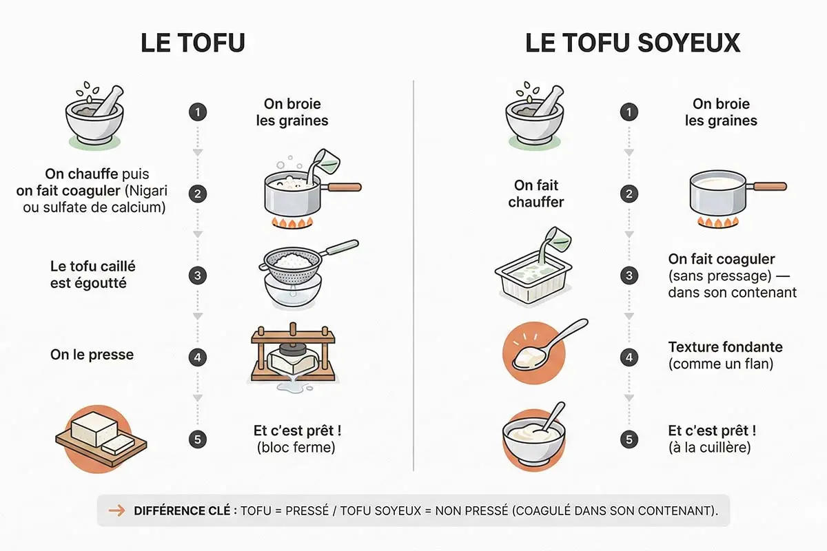 Infographie : étapes de fabrication du tofu et du tofu soyeux (pressé vs non pressé).