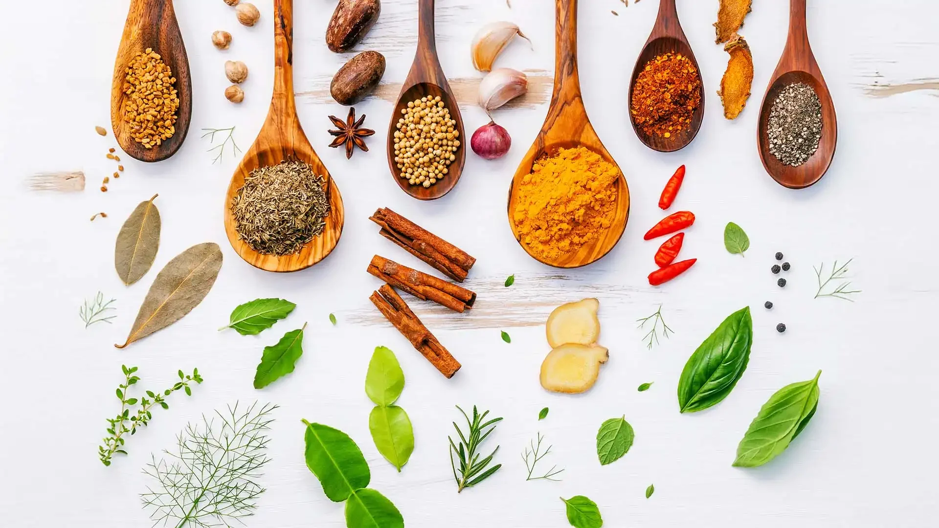 Assortiment d’épices et herbes pour bases et condiments